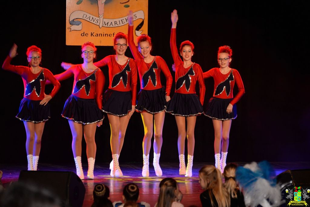 ../Images/Dansmarieke festival 2018 119.jpg